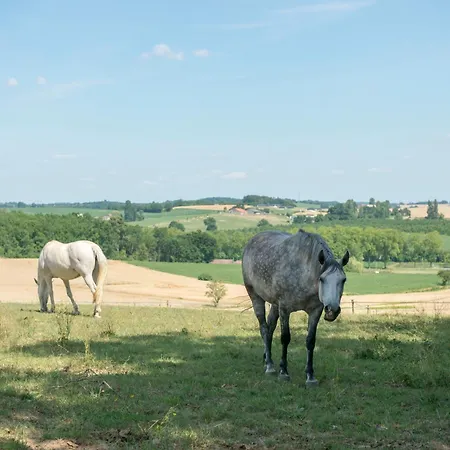 Du Bois Des Nauzes Luksustelt *
